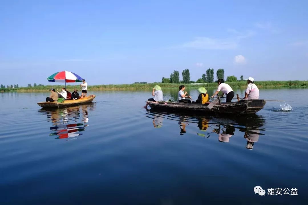 保定雄縣振華撒網(wǎng)直播，自然美景探索之旅直播盛宴