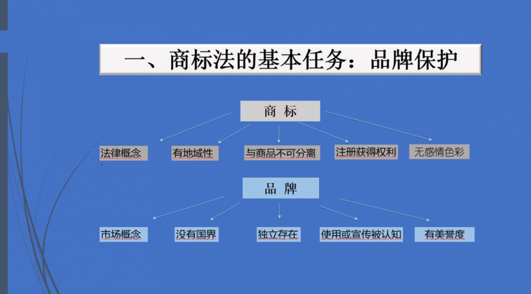 理化直播，探索教育新模式之路