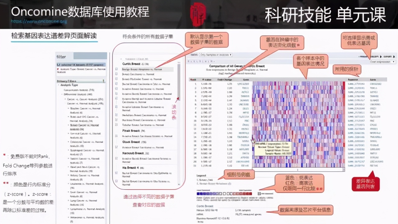 新奧門最全精準(zhǔn)資料庫，OIL68.168自助版創(chuàng)新方案制定