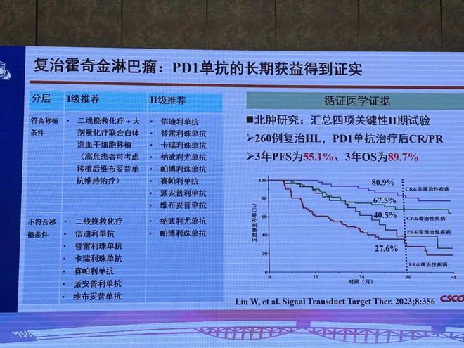 2024澳門免費(fèi)料庫精準(zhǔn)指南，策略解析攻略_IKD清新版