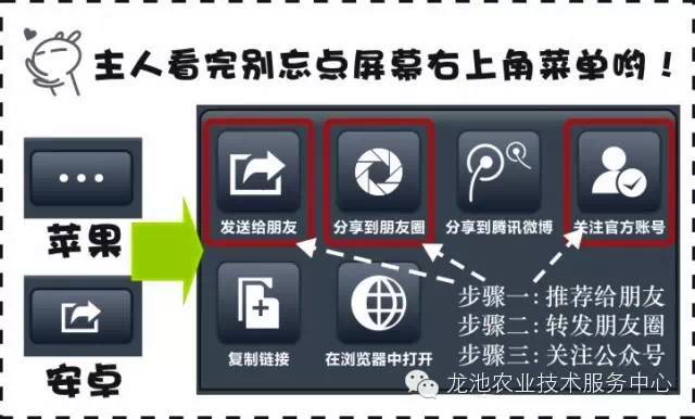 2024新澳正版資料免費分享，詳盡解析與實施指南_WSL 4.73.26專用版