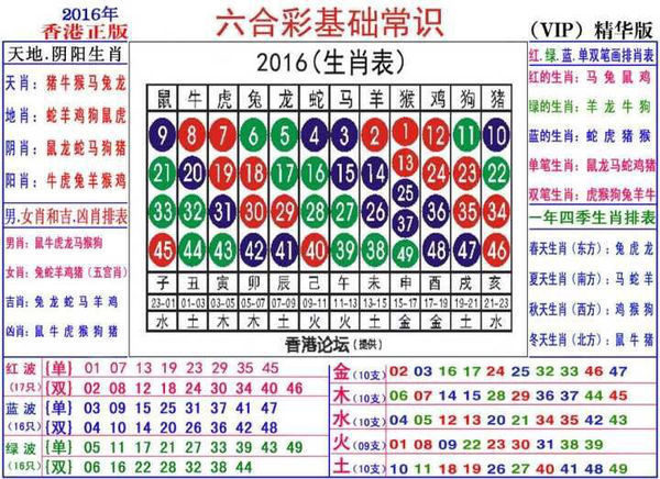 2024生肖49碼策略圖表，精巧布局FKX7.65.89管控版