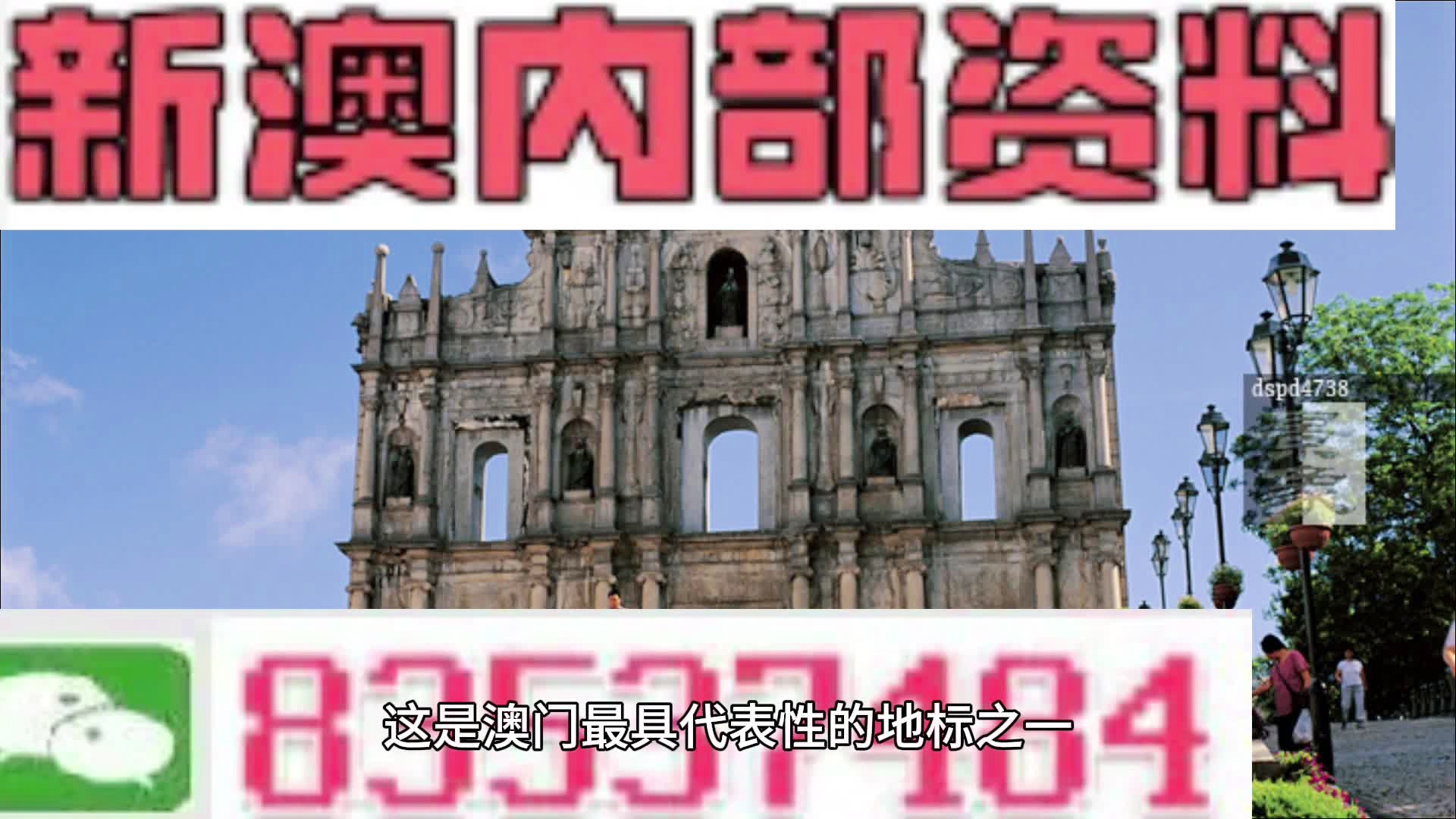 2024新澳資料精準(zhǔn)分享，深度數(shù)據(jù)分析攻略_YYY5.65.42普及版