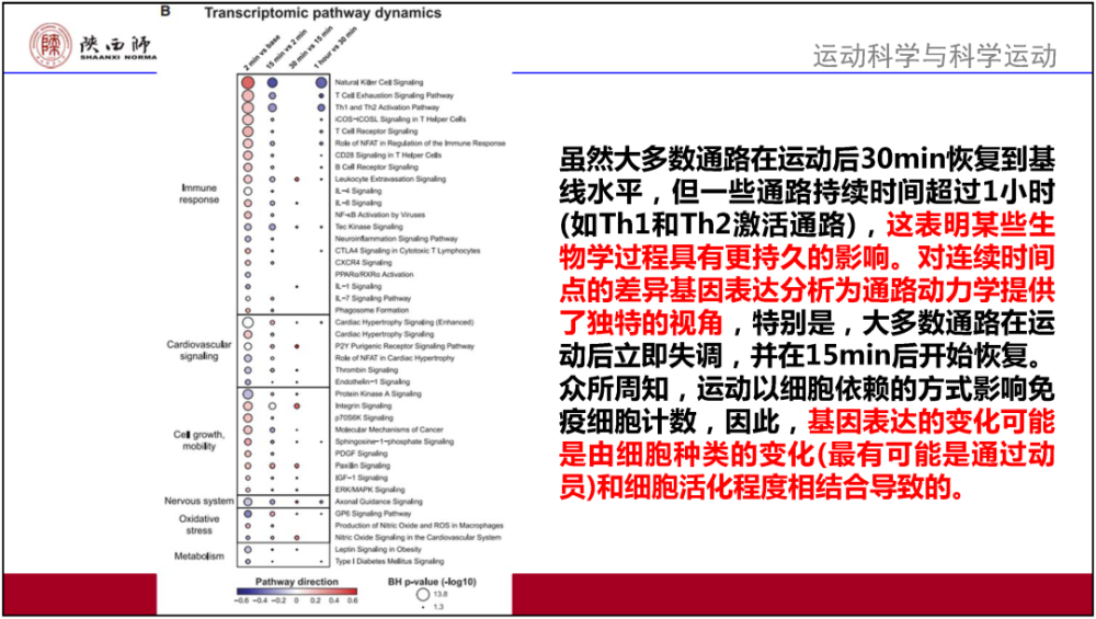 2024澳門正版資料全面解讀：BCP783.25大師版詳析