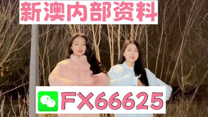 管家婆一碼一肖精準(zhǔn)解析，資料大全及迷你版GYT945.73狀況分析