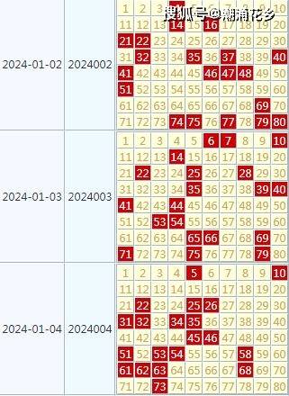 2024天天彩官方資料匯編，全面評估準則_IQV值491.57