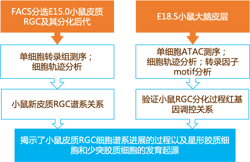 婁瑞雪 第2頁(yè)