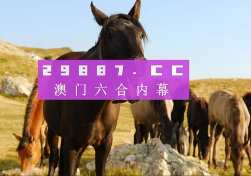 新奧門管家婆免費大全,創(chuàng)新解釋說法_FGF73.622旅行者版