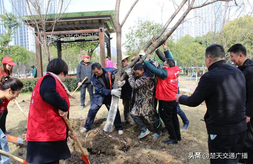 漢南普工最新招聘,漢南普工最新招聘——加入我們的團(tuán)隊，共創(chuàng)輝煌