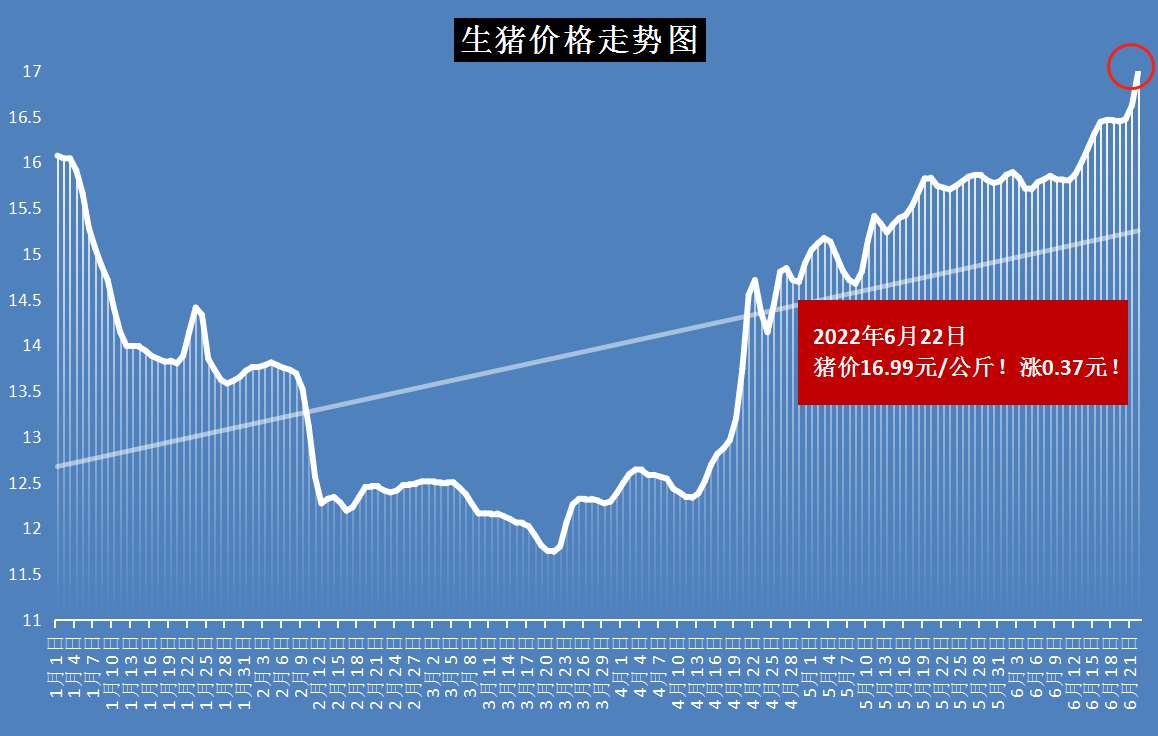 河南生豬價(jià)格今日最新動(dòng)態(tài)，智能畜牧科技引領(lǐng)新紀(jì)元