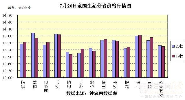 全國最新生豬價格走勢，一場自然美景探索之旅的伴隨變化