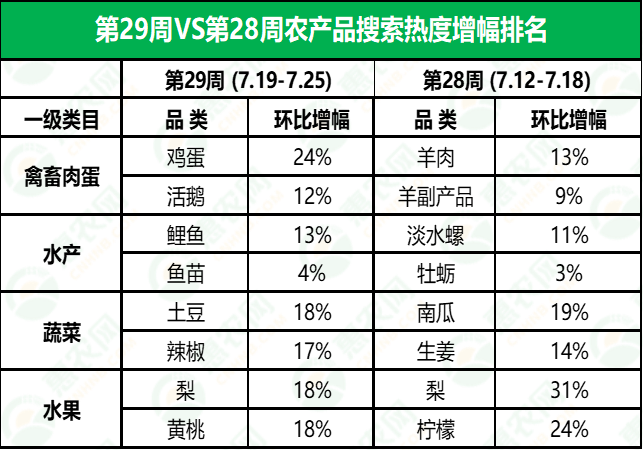 金鄉(xiāng)鮮大蒜最新行情揭秘，小巷深處的蒜香寶藏與價(jià)格走勢分析