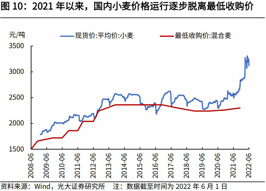 科技引領(lǐng)未來(lái)，小麥?zhǔn)袌?chǎng)最新行情分析，洞悉小麥價(jià)格動(dòng)態(tài)