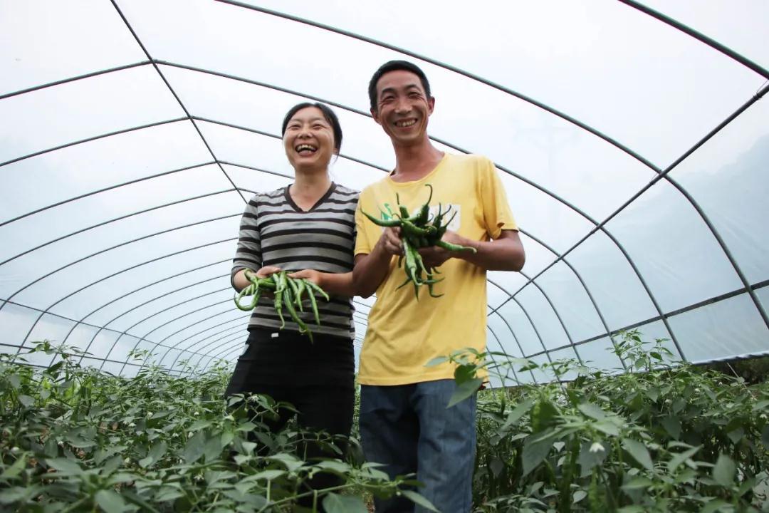 致富經(jīng)最新視頻,致富經(jīng)最新視頻，探索成功的秘訣與財(cái)富之路