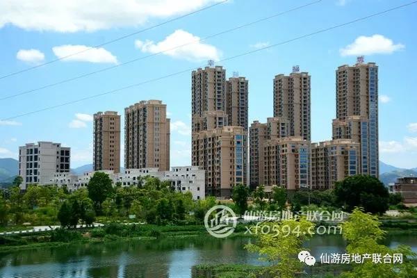 仙游最新房價，家的溫暖故事與樓市動態(tài)同步更新