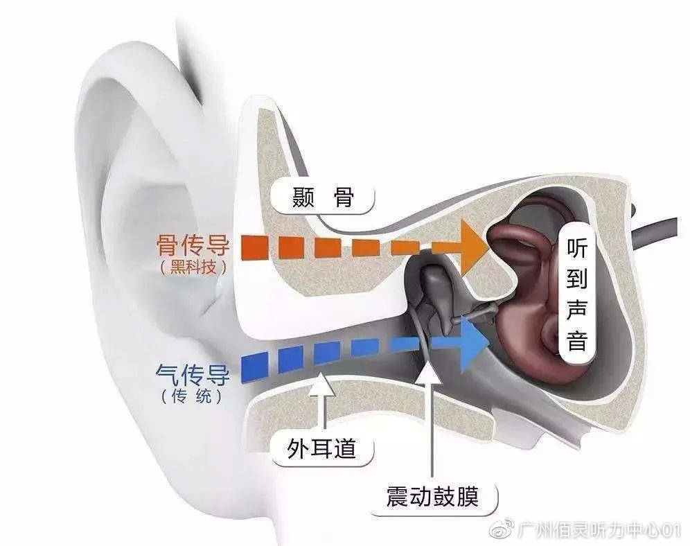 美國耳蝸的秘密，探秘最新款耳蝸耳機之旅