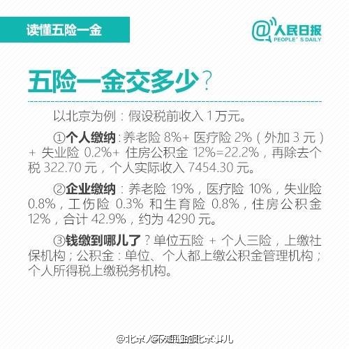 五險(xiǎn)最新政策變化解析，力量與自信的源泉