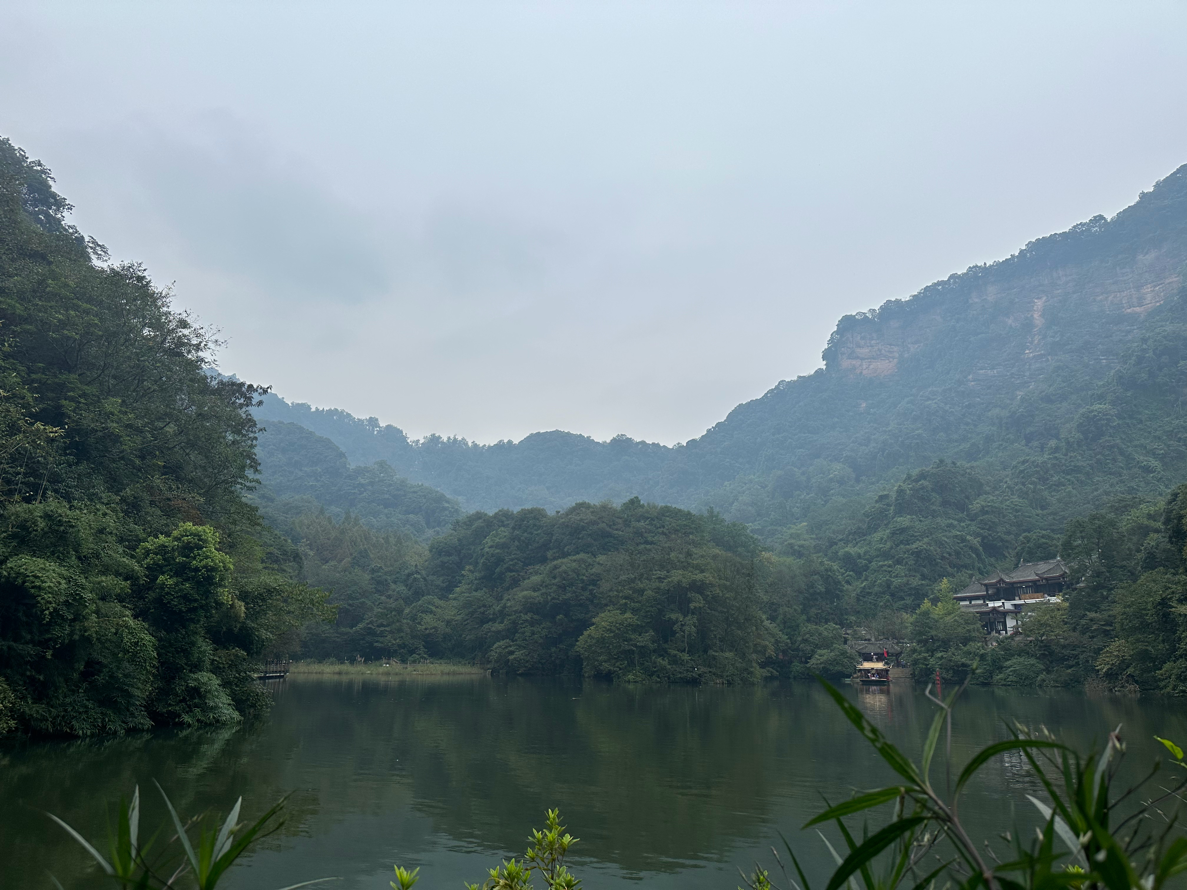 青城山最新探索，自然之旅與內心平和之地的追尋