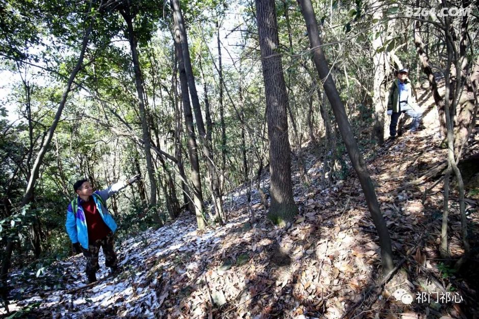 攀登不老山知識高峰，自信閃耀人生之旅