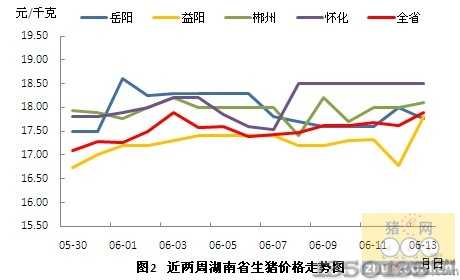 永州豬價(jià)行情，科技引領(lǐng)智能養(yǎng)豬新時(shí)代！