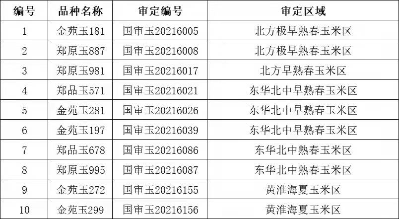 最新玉米品種審定，心靈與自然的完美交融