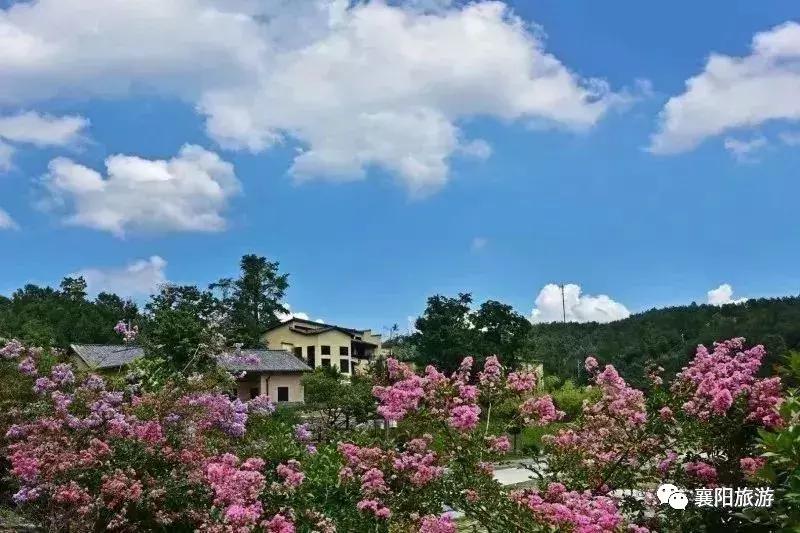 東津高鐵站最新動態(tài),東津高鐵站最新動態(tài)，啟程自然之旅，探尋內(nèi)心之寧靜