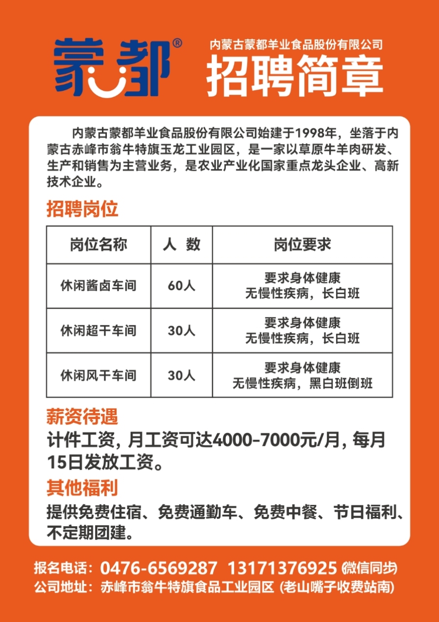 最新招聘信息，啟程，展翅高飛在變化與學(xué)習(xí)的天空