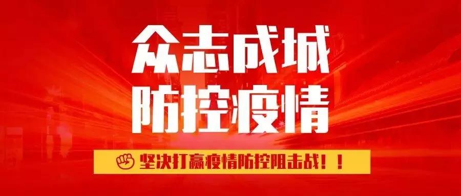 溫馨的午后，肺炎最新進展與日常故事交織的啟示