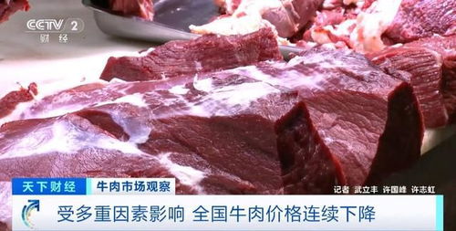 進(jìn)口牛肉行情揭秘，巷弄中的美味探索之旅