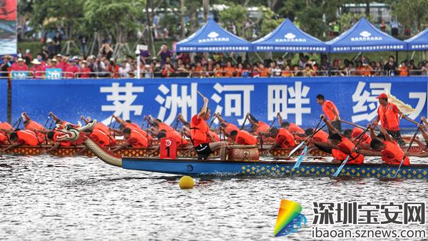 親近自然之旅，2017深圳龍舟比賽的寧靜與激情