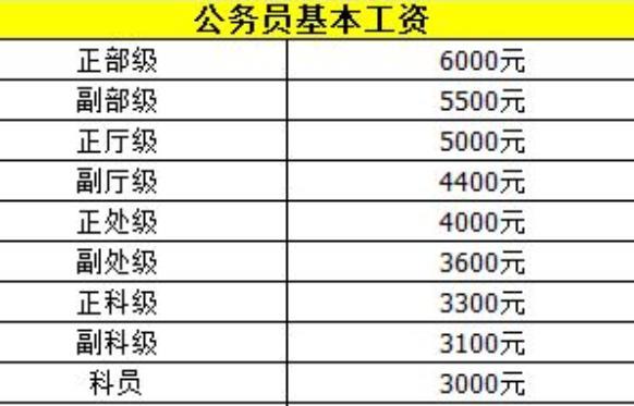 張公務(wù)員工資最新動態(tài)詳解，全面步驟指南與動態(tài)更新分析報告！