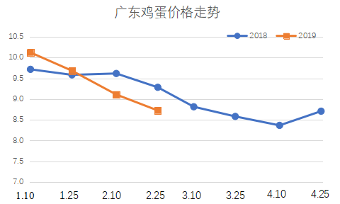 科技引領未來雞蛋市場新紀元，今年雞蛋價格行情走勢預測分析