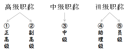 “解析職級并行新規(guī)細節(jié)”,解析職級并行新規(guī)細節(jié)——體驗未來科技的新里程碑